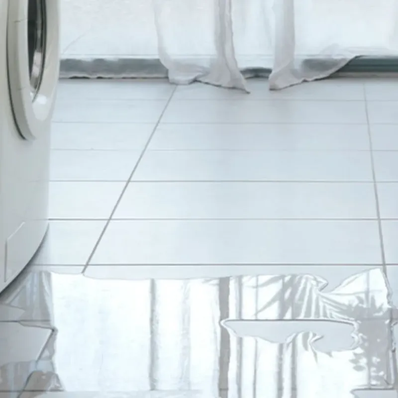Appliance Leak Cleanup in Valley County, ID